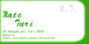 mate turi business card